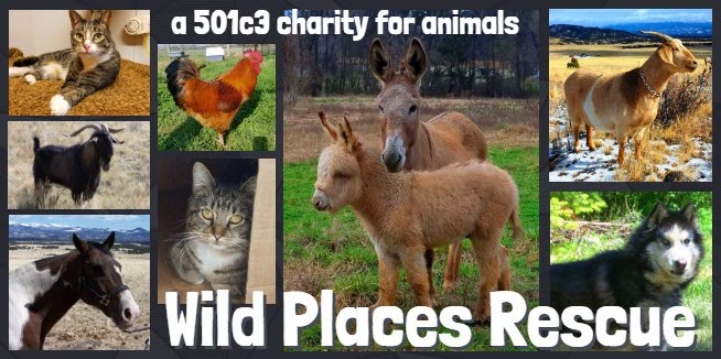 Wild Places Rescue