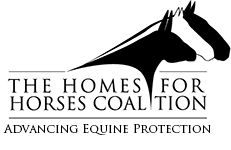 Member of Homes for Horses