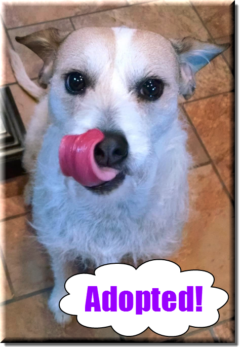 Sookie